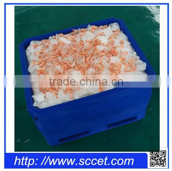 Rotational Molding Insulated Storage Bin for Fish, Fish Saving Container photo-5