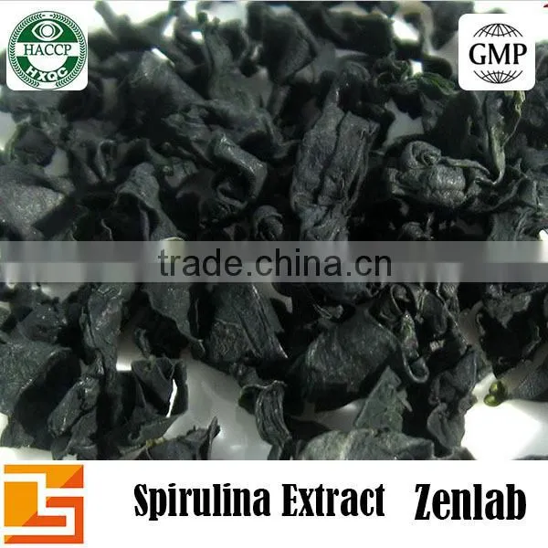 Pure Natural Spirulina Organic Powder