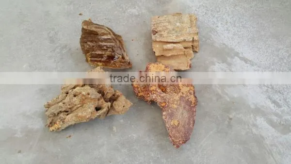 Colombian Amber (Copal) - Raw photo-2