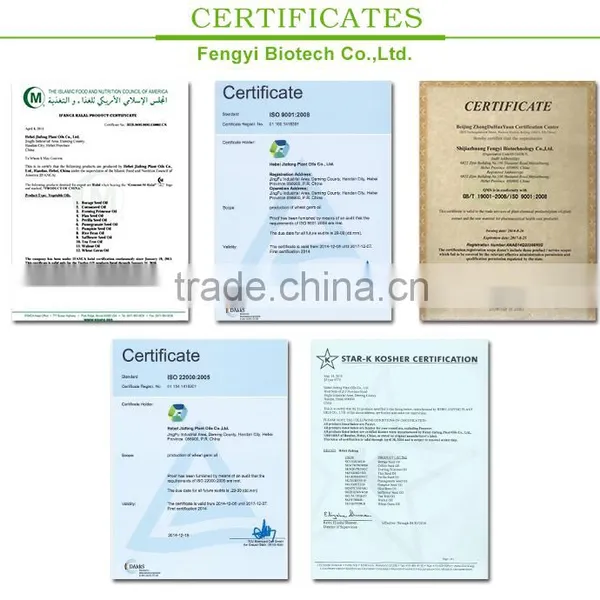Wheat Polypeptides China Manufacturer photo-4
