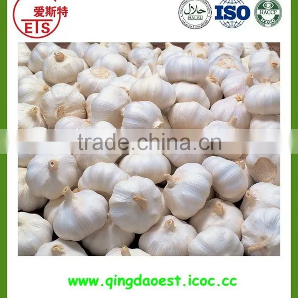 NEW CROP Garlic Price From Jinxiang photo-6