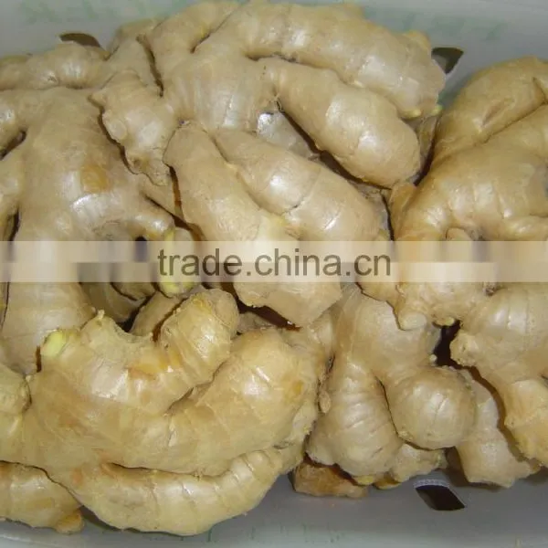 Fresh Air Dried Ginger photo-3