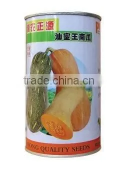 Linong Seeds Pumpkin Best Pumpkin Seeds