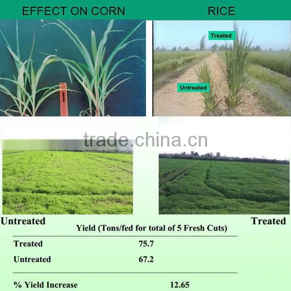 Totally Soluble Mineral Fulvic Acid For Foliar Fertilizer photo-3