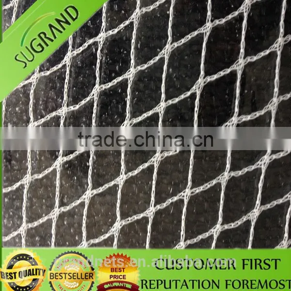 Anti Bird Netting Windows Stainless Steel Net photo-2