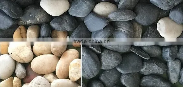 Minerals Ore Color Sorting Machine for Moist Material photo-6