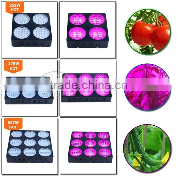 X-Grow Led Plant Grow Light Grow Light Led For Grow Room