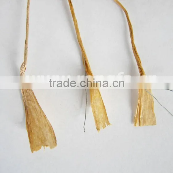 Vineyard and Garden Use Bio Kraft Paper Wire Twisted Rope photo-2