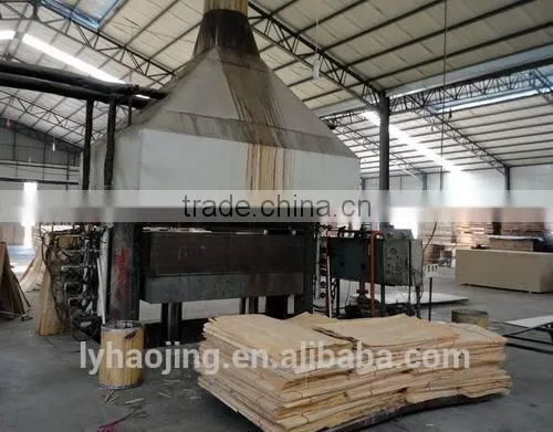4*8ft Plywood Veneer Hot Press Drying Machine / Woodworking Machinery in Linyi