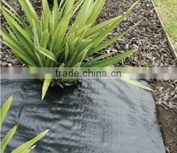 Agricultural pp Weed Mat Black Plastic Ground Cover for Sale photo-6
