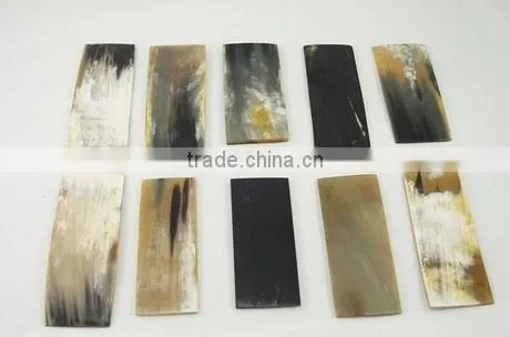 Natural Water Buffalo Horn Plates photo-3