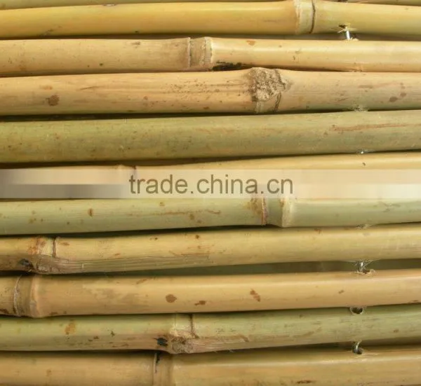 Drilled Bamboo Fence for Garden photo-2