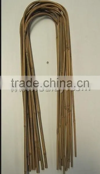 U-hoop Bamboo Poles Baoboo Canes for Agriculture photo-5
