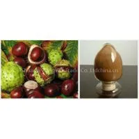 Semen Aesculi Extract Plant Extract Factory