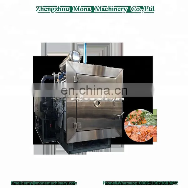 Hot Selling Laboratory Mini Vacuum Freeze Spray Dryer for Durian Flower Dendrobe Drying photo-4
