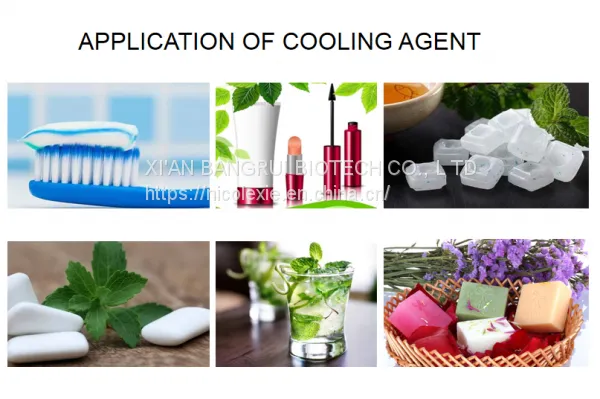 Hot Sale Antiseptic Cooling Agent Ws-12 Used in Household Articles and Oral Articles photo-5