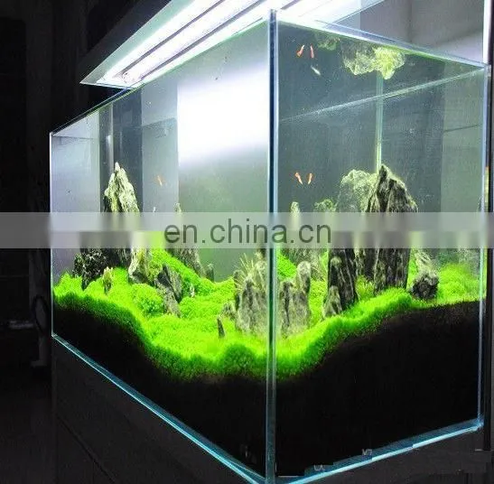 6mm 10mm 12mm Mat Broken Aquarium Glass photo-2