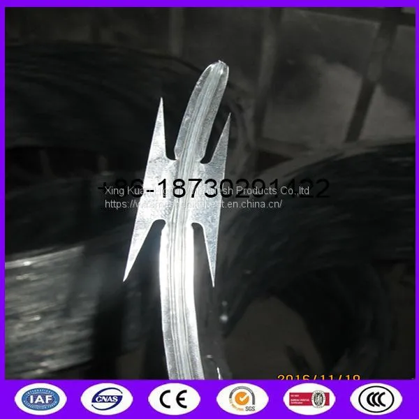 Single Concertina Razor Barbed Wire Use For Security Fencing CBT - 65 BTO - 22