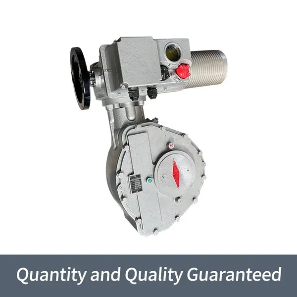 Bernard Intelligent High-power B+RS1000/F105Z Angle Travel Electric Actuator photo-2