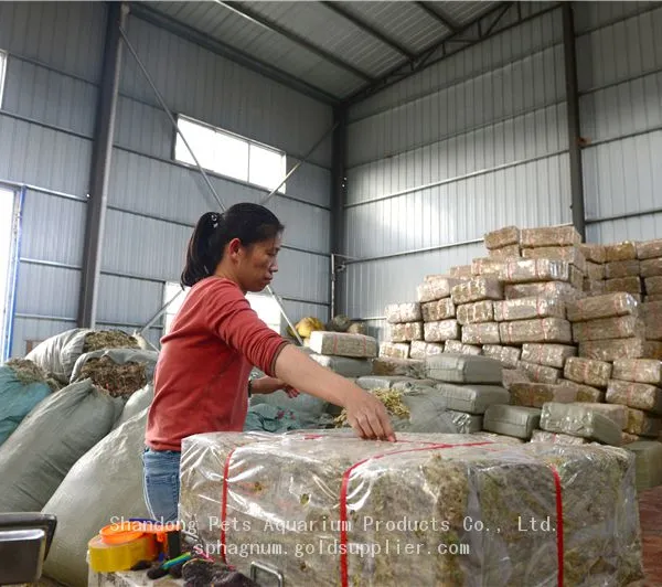 High-quality Clean Long Fiber Sphagnum Moss 500g Compressed Dry Brick for Orchid Dendrobium Flower Cultivation Reptile Mattress photo-2