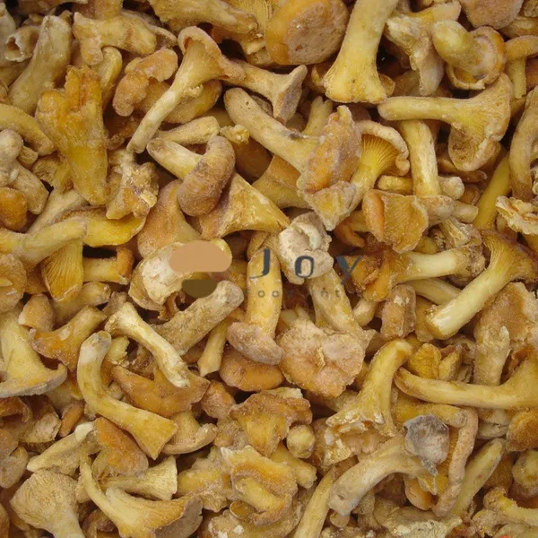 IQF Frozen Chanterelles Mushroom Cantharellus Cibarius