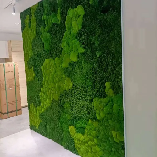OEM Sizes of Eternal Moss Wall for Office, Home and Public Sites Decoration