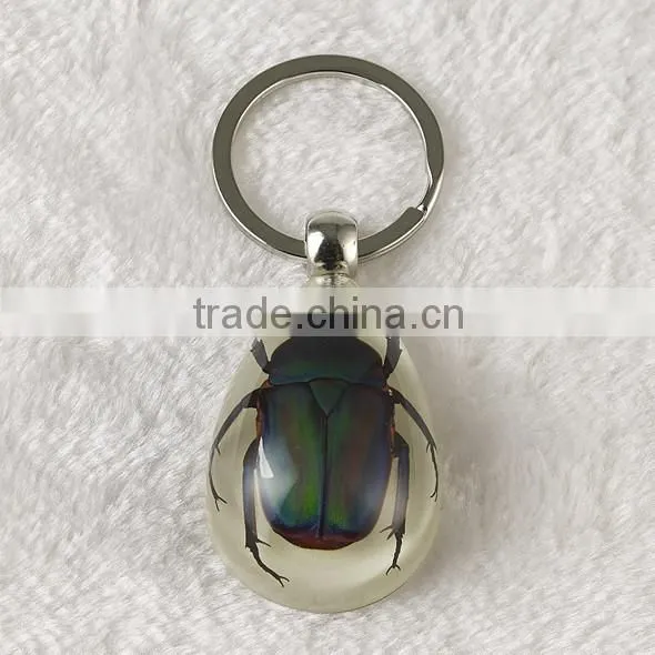 Real Bug Flower Sea Horse Scorpion Wholesale Stainless Steel Key Chain
