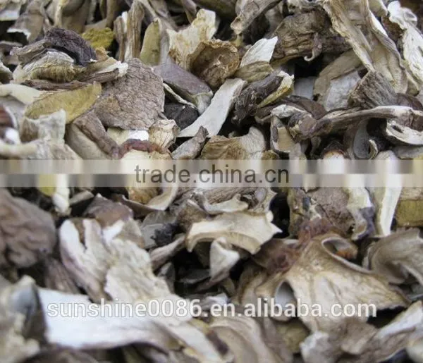 Wild Dried White Porcini Mushroom photo-6