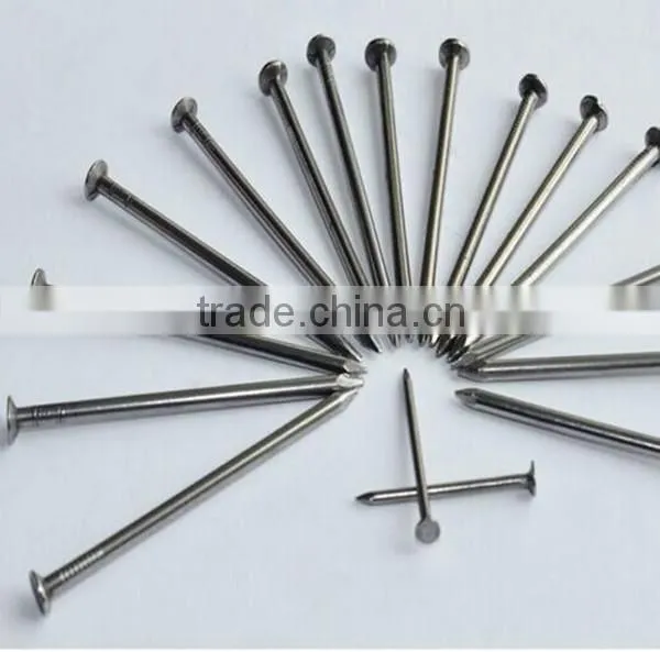 Q195 Polishing 2.cm--12cm Common Nail photo-4