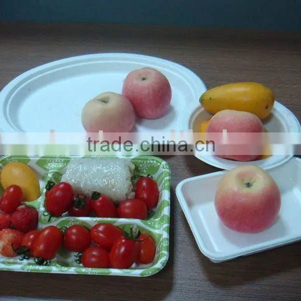 Sugarcane Tableware