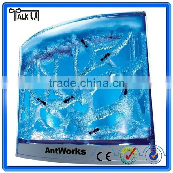 Hot Sell Innovative Design Happy Children Toy Ant Farm/worker Ant's World Toy Ant Farm/plasitc Ant Habitat Tube Ant Farm