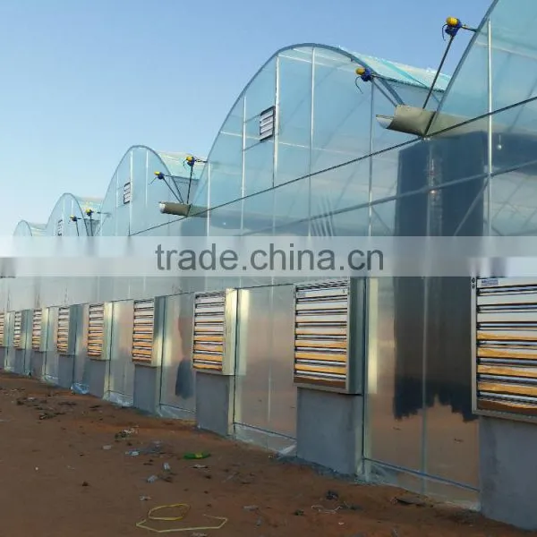 Greenhouse for Professional Growers and Cost Effective Vegetable Production photo-2