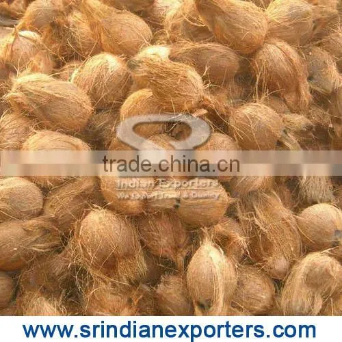 Oraganic Semi Husked Coconuts photo-2