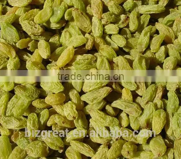Air Dried AD Green Raisin With Factory Price photo-3