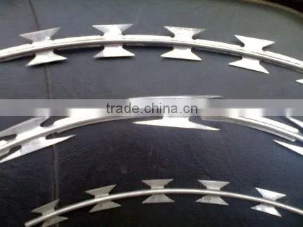 China Gold Supplier Razor Barbe d Wire Machine photo-4
