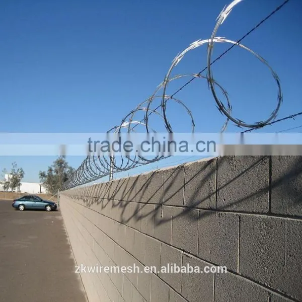 Concertina Galvanized Razor Wire /Razor Barbed Wire (FACTORY) photo-3