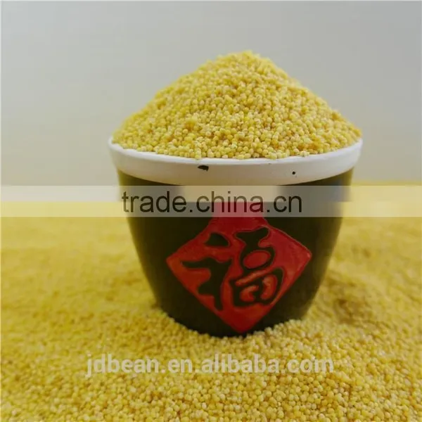 2016 Crop Glutinous Yellow Millet Sticky Millet for Rice Cake photo-6