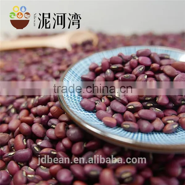 High Quality Red Cowpea Bean photo-5