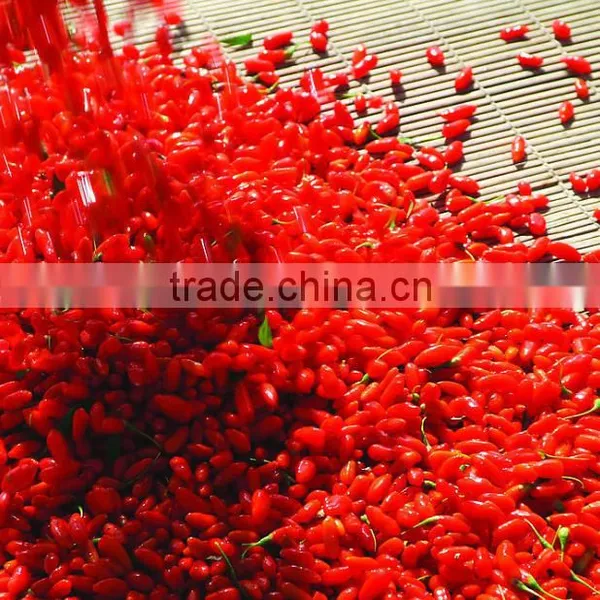 Gou qi Zhi Goji Berry Juice Organic Goji Berry Juice photo-2