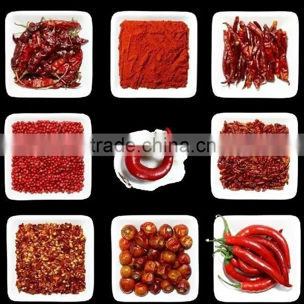 BEST QUALITY HOT RED CHILI FOR SUPPLY photo-3
