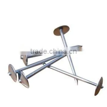 Umbrella Head Roofing Nails photo-3