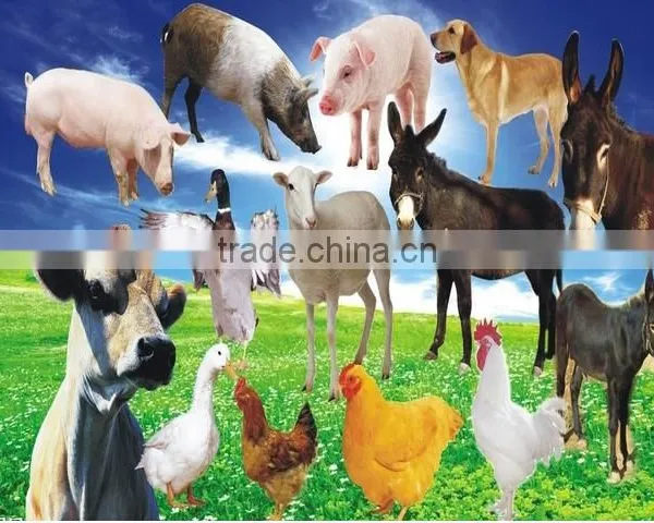 2015 New Products Vertical Grain Mixer / Grain Mixer With CE Approved photo-4