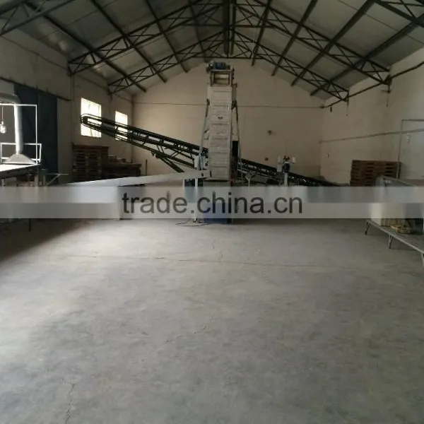 Peanut CCD Color Sorting Line photo-4