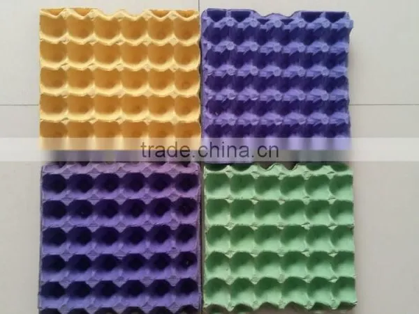 Factory Supplier Pulp Egg Tray for Sale photo-2