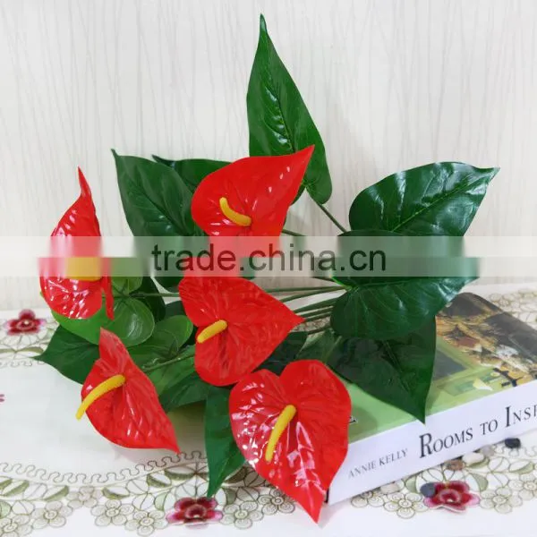 WF - 78952 Flamingo Flower Bonsai, Potted Flamingo Flower photo-2