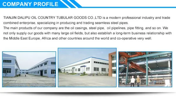 Tianjin Dalipu Oil Country Tubular Goods Co., Ltd company overview - view 2