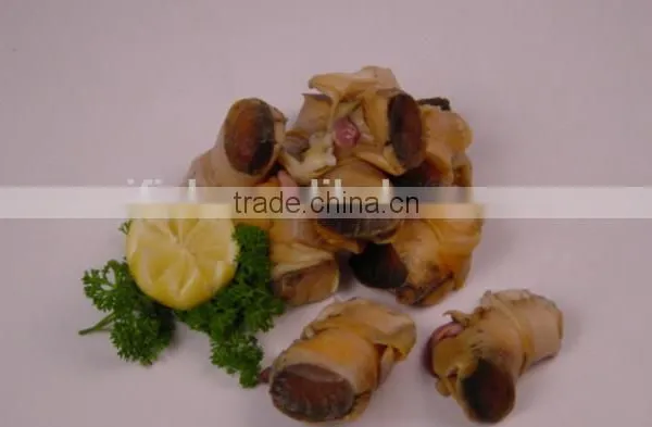 Conch Meat photo-5