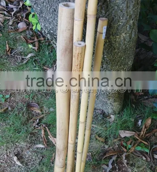 Decorative Short Bamboo Canes photo-4
