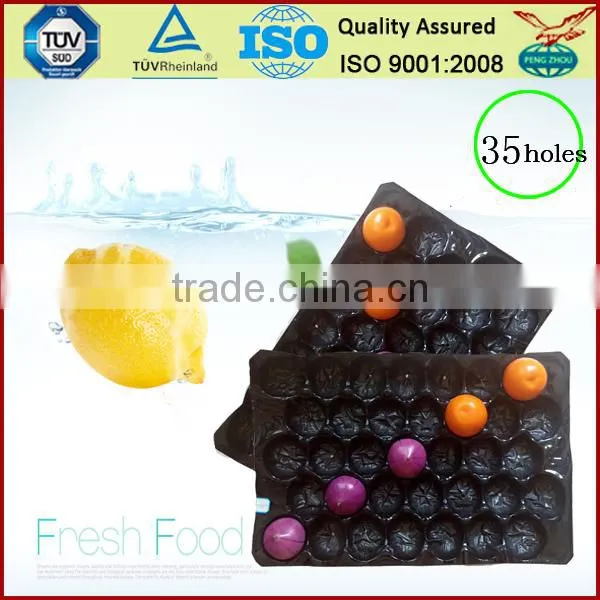 Canada Popular Wholesale Greenhouse Agriculture Products Packaging Plastic Tomato Tray photo-5