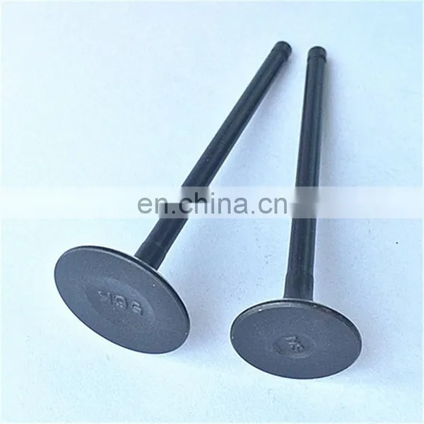 Japanese New Moto Spare Parts Intake Exhaust Engine Valves For Honda Wh100t-h-f-g SCR100 photo-6